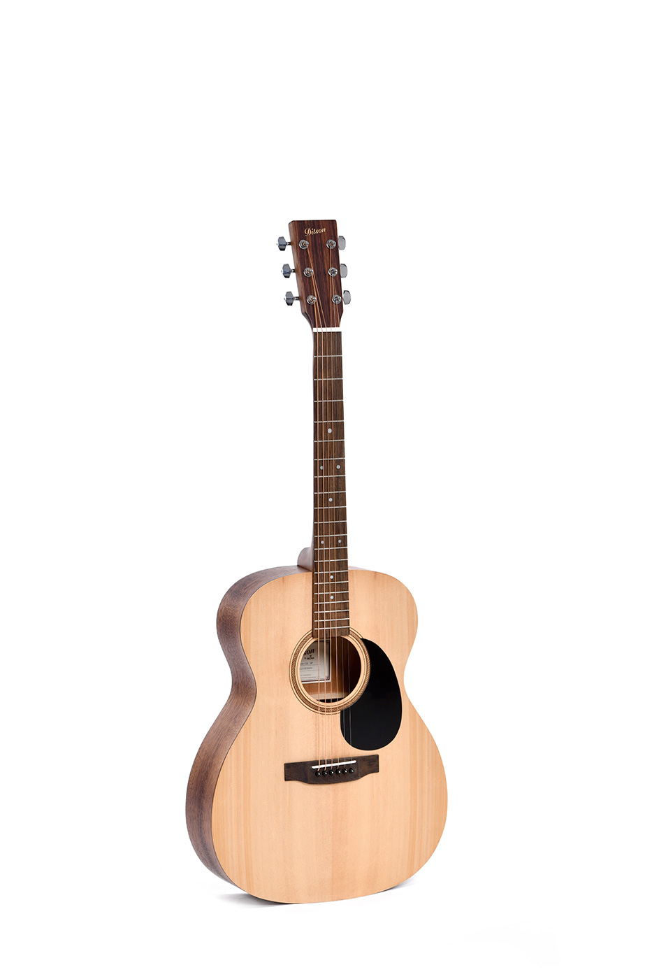 Ditson G-10 Acoustic Guitar